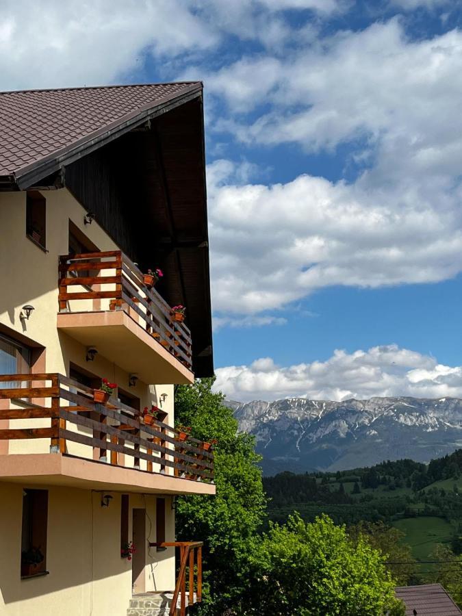 Transylvanian House Drumu Carului Exterior photo