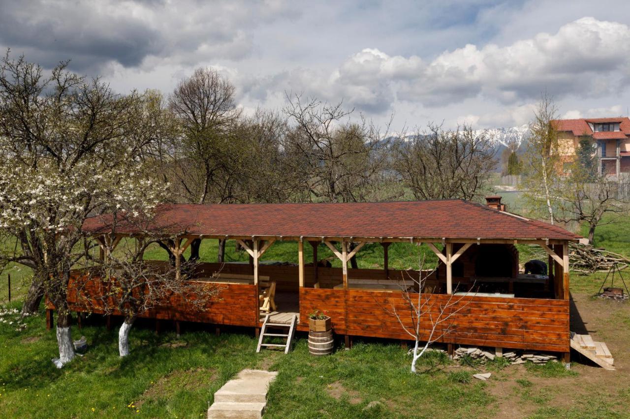 Transylvanian House Drumu Carului Exterior photo